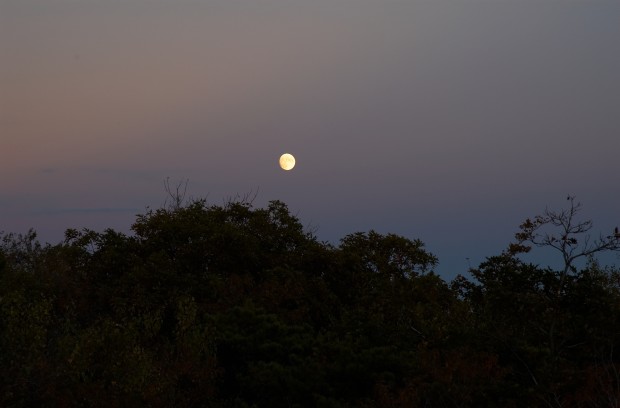 Moon rise