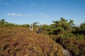 Verkeerderkill Falls Trail