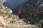 The Bright Angel Trail switchbacks over 4000 feet to the canyon floor