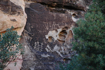 Petroglyphs are common to the area