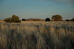 Antelope Prairie