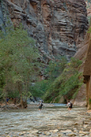 River crossing to access The Narrows