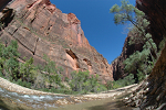 Virgin River and cliff faces